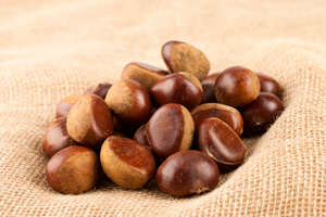 계룡산 알밤 일반(특)